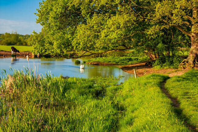 Along the river Stour in the Dedham Vale one morning in May, John Constable country, Suffolk east Anglia England Along the river Stour in the Dedham Vale one morning in May, John Constable country, Suffolk east Anglia England